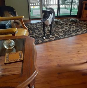 Meet your Posher, Theresa